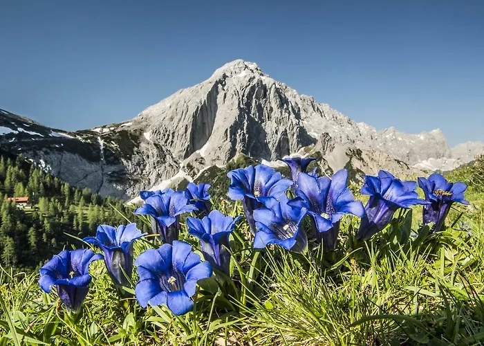 Hotel Hubertushof - Ihr Mit Herz 4*