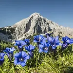 Ξενοδοχείο Hubertushof - Ihr Mit Herz 4*